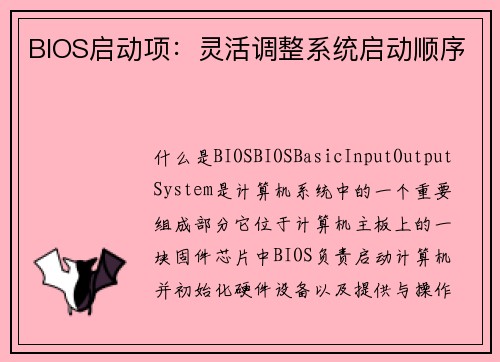 BIOS启动项：灵活调整系统启动顺序
